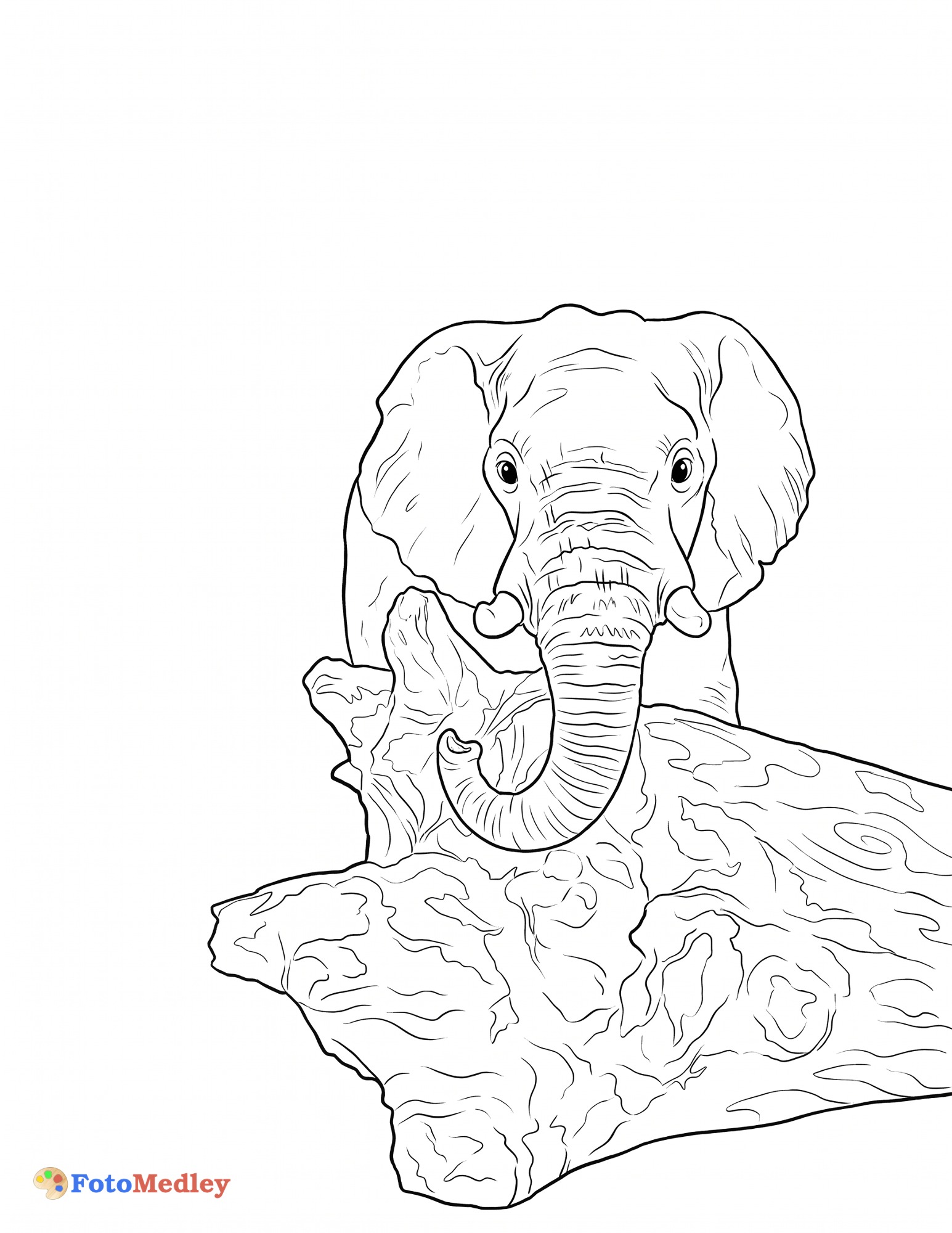 アフリカ象の塗り絵ページ