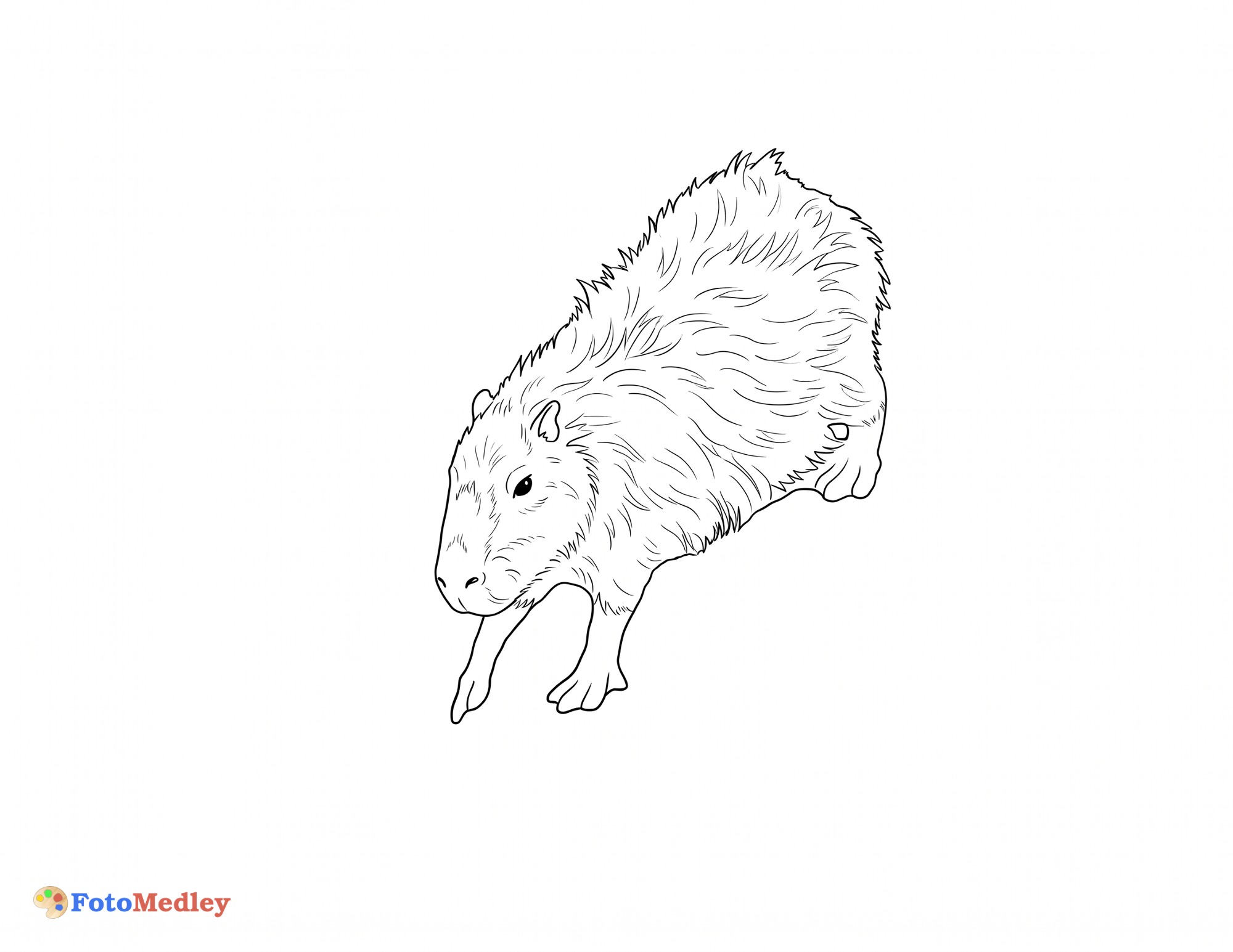 Página para colorear de la capibara
