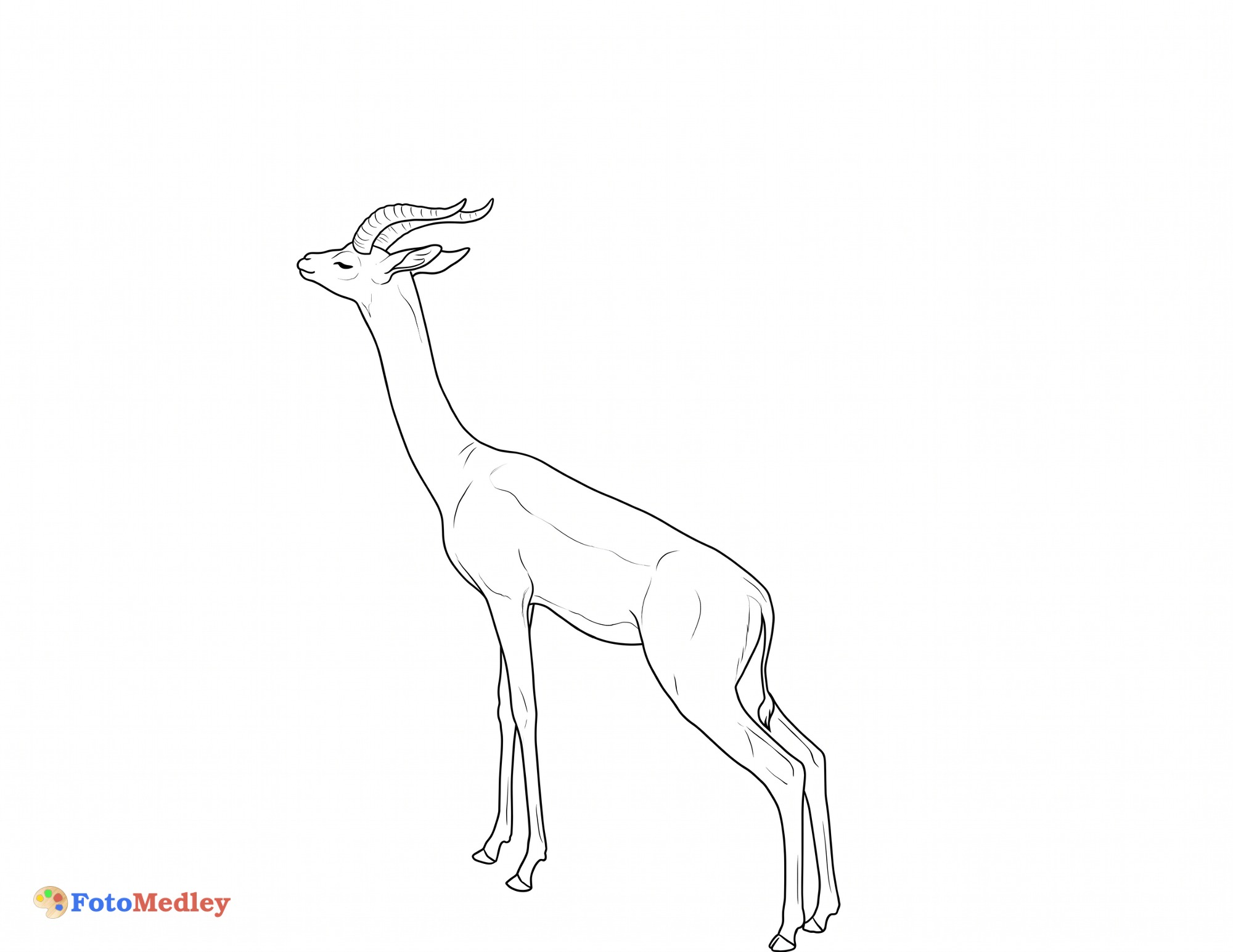 Page de Coloriage Gerenuk