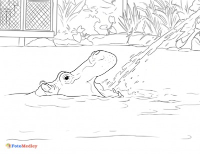 Hippo Boyama Sayfası