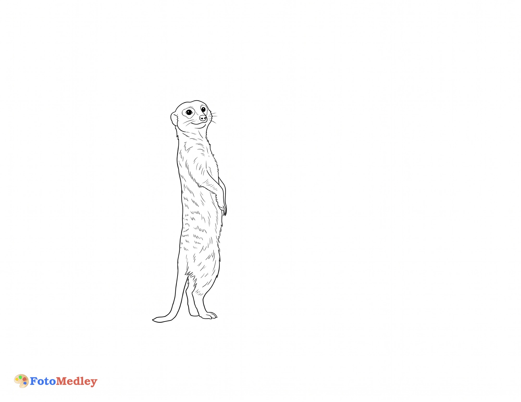 Pagina da Colorare della Suricata