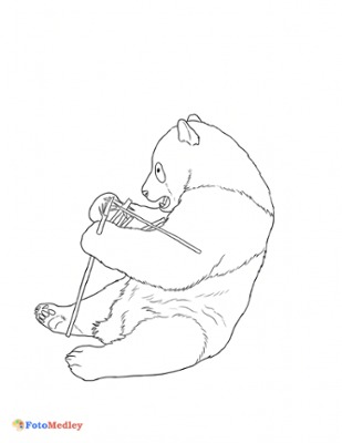 Strona do kolorowania pandy