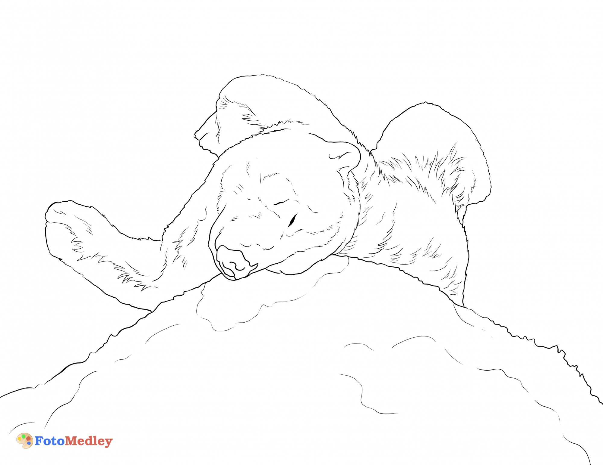Polar Bear Coloring Page