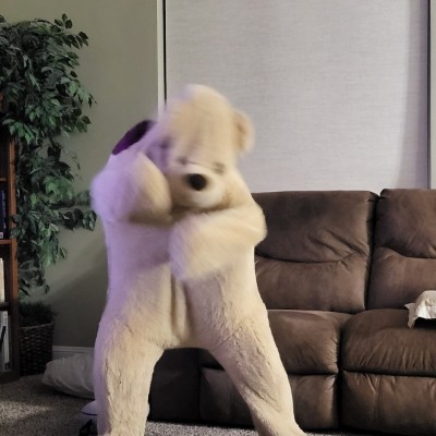 원본 사진
