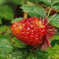 Warna Buah yang Kaya