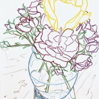 Fiori con Indizi di Colore
