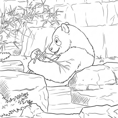 Panda With Bamboo