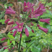 I Fiori Mantengono la Loro Colore Vivo