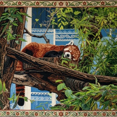 Czerwony panda w liściach