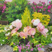 Les jardins prennent des couleurs ludiques