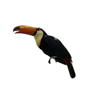 Taglio Di Tucano